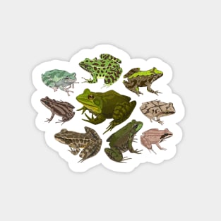 For the Love of Frogs Sticker